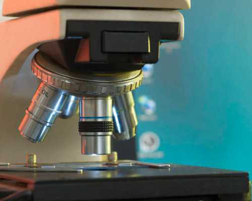 香港dna验血的准确度_香港验血男孩一般会不会翻盘_验血查男女哪家最权威？