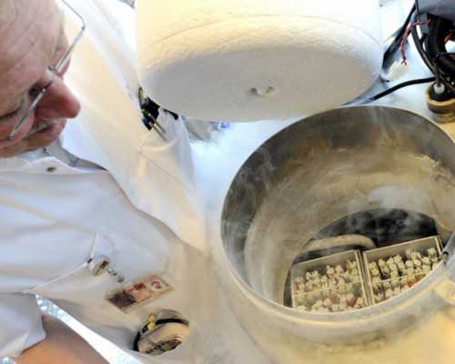 香港验血男女四大机构,香港验血有哪些机构_怀孕几周去香港验血查男女最准