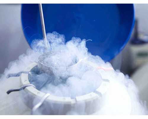 古玩市场可以买瓷器吗_乾隆最爱的剔红漆雕器