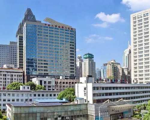 香港每家医院都能查验血嘛_关于《复习计划》的作文怎么写我的期末复习计划