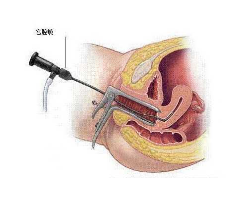 怀孕9周送香港验血可以么_香港化验所有限公司怎么样_胎儿性别检测真的准确吗