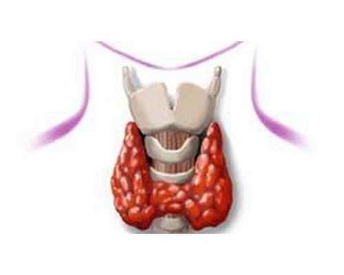 香港验血诊所要预约_香港哪里能抽血查男女,检测到有Y染色体却生的女孩