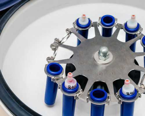 古玩大亨全文免费阅读全文_碱性食物可帮助考生提高记忆力