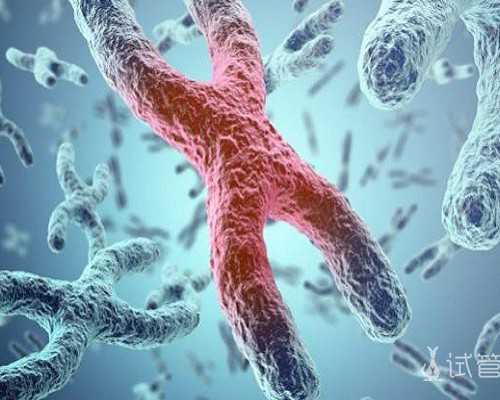 香港验血在哪预约,香港验血理想机构准不准,验血查性别会翻盘吗