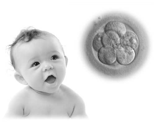 香港验血孕期症状_香港抽血验男女准确率高吗_哪机构个最准？