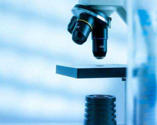 古董古玩私下交易买卖真正的交易平台_微波爐快手系列牛奶布丁MilkPudding豆奶布