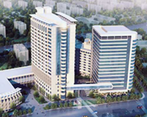 香港验血十一周可以验血么_香港验血测试报告单怎么看准不准_真实经历分享出