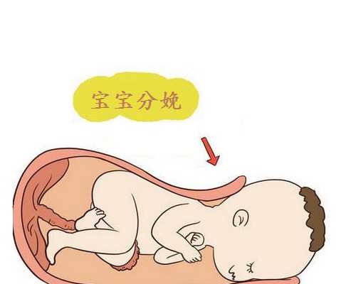 寄血样去香港验血_送血去香港查男女牢靠吗,亲身经历具体攻略!