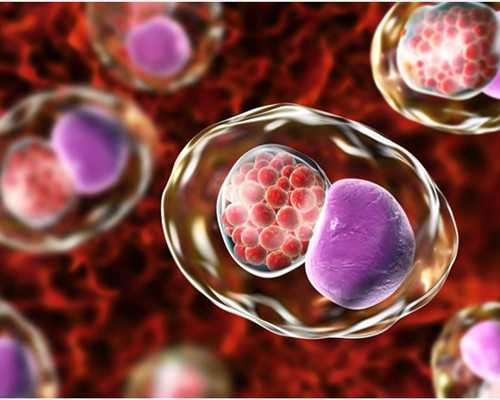 香港验血能查男女吗_香港验血查男女淘宝_给大家的建议!