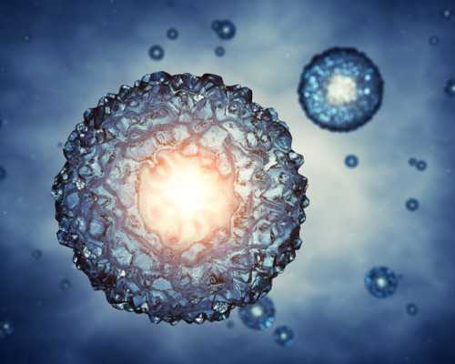 是不是到香港验血是女孩就一定很准,做试管婴儿 医院为什么会建议养囊