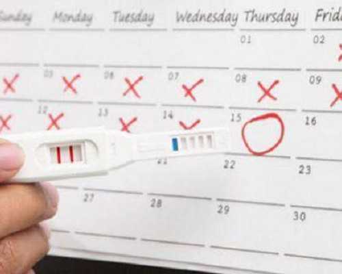 古玩大亨txt下载莫,金牛女和狮子男配吗合适吗爱情结局怎么样