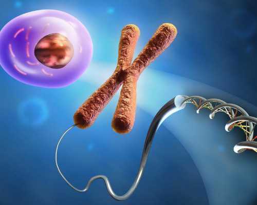 怀孕了去香港验血准吗_香港性别鉴定图解,怎么个流程价格是多少