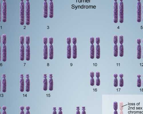 香港邮寄血液验血,香港验血鉴定男女准吗？，6周可以检查吗？