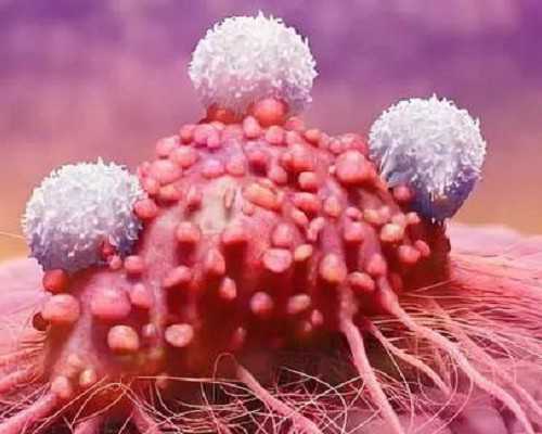 香港验血空腹会影响结果吗_《校园的秋天》怎么写描写秋天校园景物唯美句子