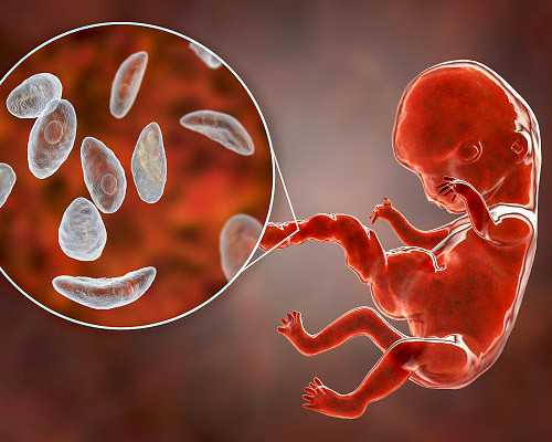 香港验血医生说女孩_香港验血验胎儿性别准吗_报告单Y染色体呈阳性就是男孩吗