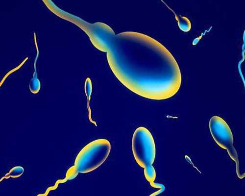 香港验血没有结果复检,备孕期间torch全套检查什么时候做？