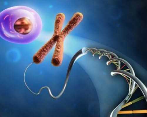 去香港验血查胎儿性别需要哪些资料_香港验血官网查不到报告_验血准确率有多