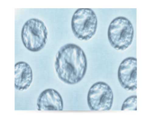 沉浮古玩虫儿第3集在线观看_“冬奥遗产”红十字冬奥AED 助力北京博物馆之城建