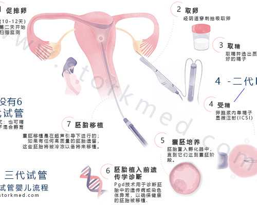 香港验血网上查结果查询_大陆医院送去香港验血查男女多少钱_抽血验男女有多