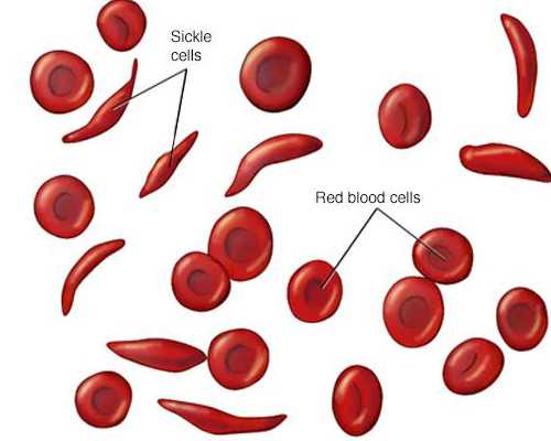 香港代购验血准吗_你必须知道香港验男女的过程，不然你真的会被坑