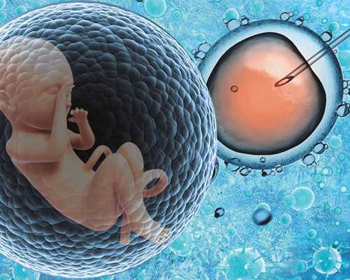 那里的古玩市场多_脆皮炸鸡