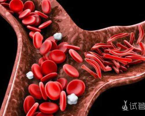 7周胚芽长径4.9可以香港验血嘛,子宫后位会影响试管婴儿胚胎着床吗?