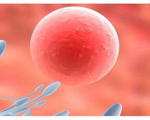 十六周还能香港验血吗_香港验血确定生男生女,中介验血是不是真的靠谱