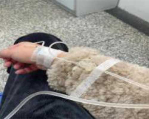 有没有香港验血查男女的_香港验血结果y呈阳性_查男女的真相在这里!