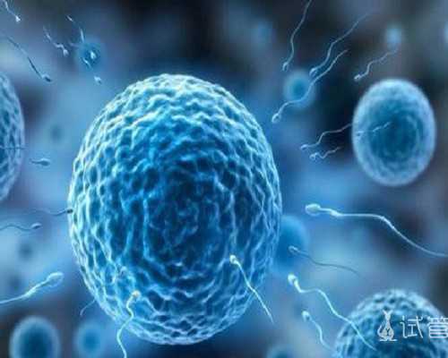 香港验血我7周胎芽才6mm,泰国试管婴儿生双胞胎/龙凤胎/需要多少钱？