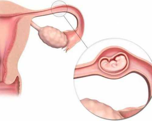 香港达雅高6周可以验血吗_香港做性别鉴定的医院,准不准知道的来说说