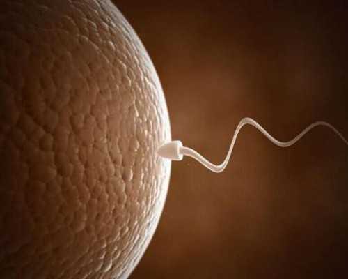 寄去香港验血查胎儿性别_邮寄血液两天失效?我的经历告诉你是不是被骗了