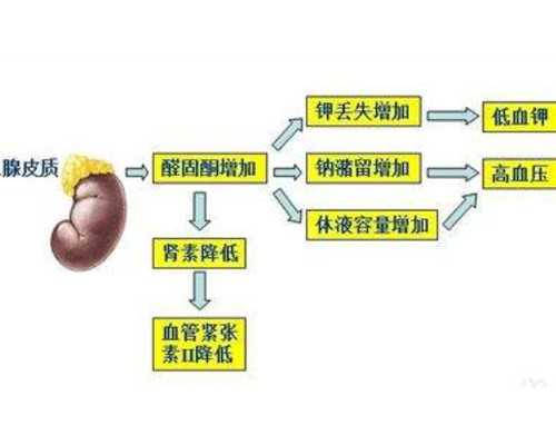 香港验血为什么出不了结果_自己预约香港验血攻略_验血查男女真的准确吗!