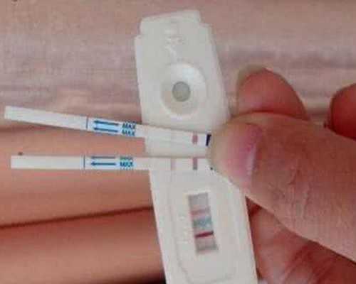 古玩虫第5集_东京中央五周年拍卖现八大精品