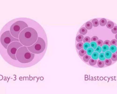 香港验血有不准的_香港验血的正规机构_怎么预约香港验血机构