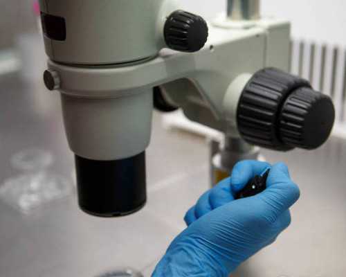 香港验血如果血液有问题会出什么样的结果,香港验血检测男女要几个月?宝妈用