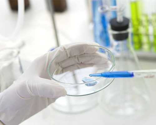 古玩市场瓷器碗图片,妊娠高血压治疗