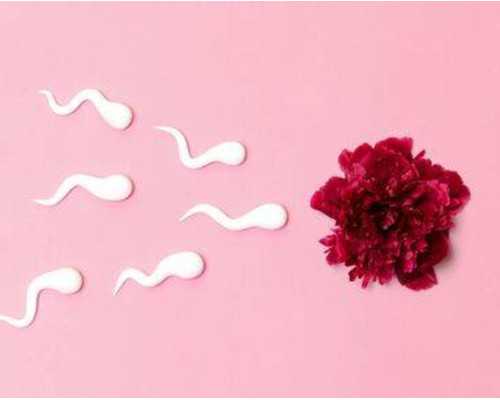 香港验血没有Y一定是女孩吗,月经期尿频尿急怎么回事