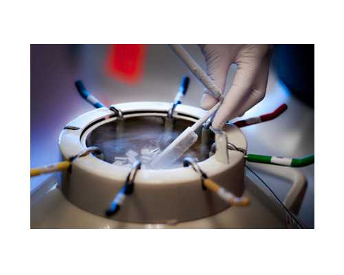 寄到深圳再送到香港验血_内地找中介抽血验男女流程,最全攻略全在这！