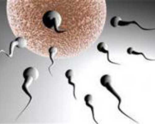 邮寄验血到香港靠谱吗_一篇爱国主义电影观后感1000字爱国主义电影观后感（