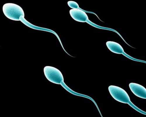 怀孕两个月香港验血准吗_杨姐香港验血看男女_到底哪家是真的