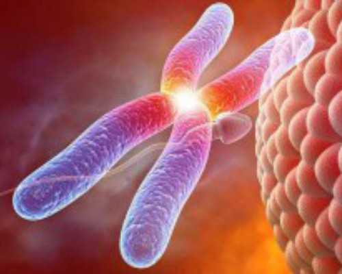 香港验血鉴定女孩结果图片_孕十周香港验血,让亲历者用事实来讲述真相