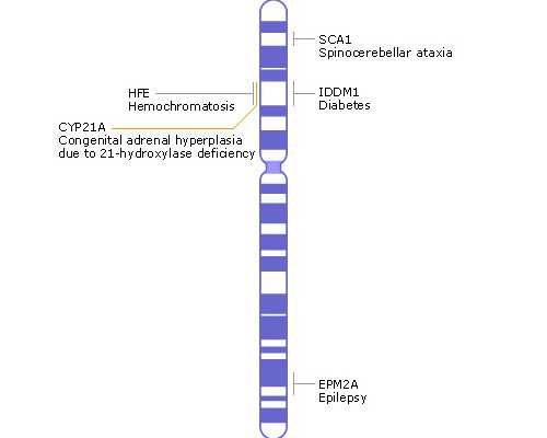 香港验血周期怎么算的_三次去香港验血都是女孩准吗_（给想去的姐妹一个参考