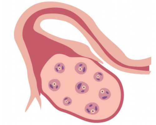 验血生男生女香港_香港哪家验血机构权威_哪家医院正规