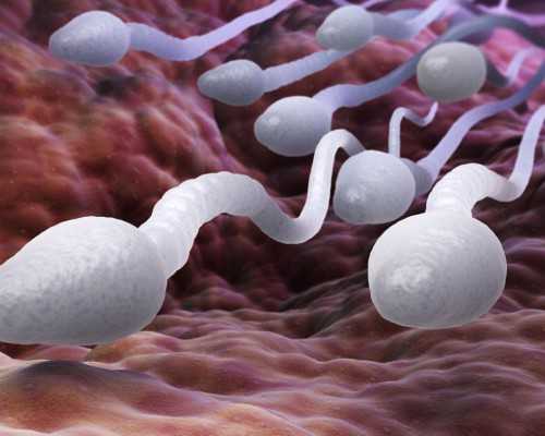 生化妊娠会不会影响香港验血结果_关于感恩老师的小故事有哪些关于感恩老师