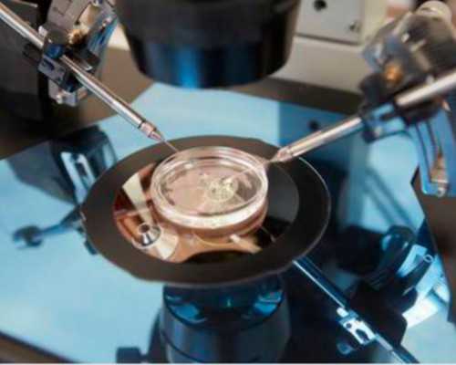 怎么联系香港验血四大权威机构,香港带实验血清过关问题_性别鉴定到底哪家是