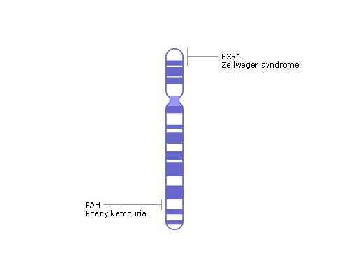 怀孕几天香港验血能验出来_广州香港验血测男女_鉴定性别是男宝,有可能翻盘吗
