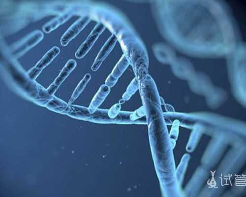 香港验血测性别中介_检血查性别7周 会不准吗?什么时候查性别最准确