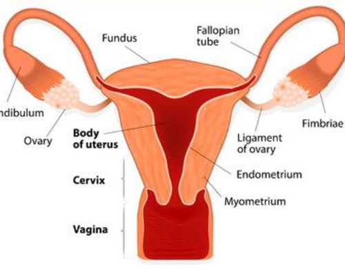 香港邮寄验血错了怎么办,50岁试管婴儿，生下双胞胎10年后却撒手而去：我们生