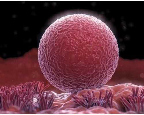 到香港验血几周可以,香港诊所验血检测男女真实吗?怎么个流程？