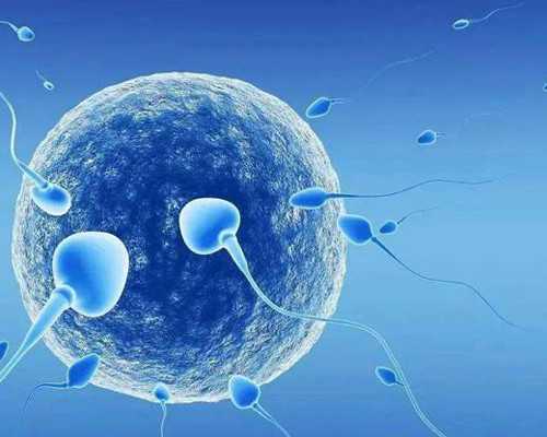 香港验血女结果不准的吗_香港验血20周准吗_验血查男女邮寄靠谱吗!